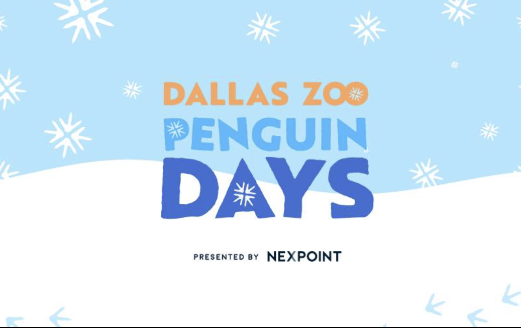 Penguin Days at Dallas Zoo - DFWChild